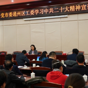 閆傲霜出席致公黨通州區(qū)工委2022年度總結(jié)大會(huì)并作中共二十大精神宣講報(bào)告