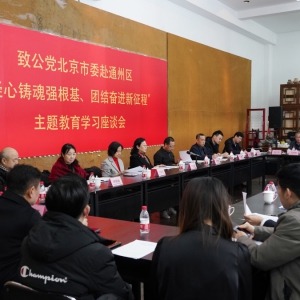 閆傲霜帶隊赴通州區(qū)工委出席主題教育暨京致閱讀讀書會