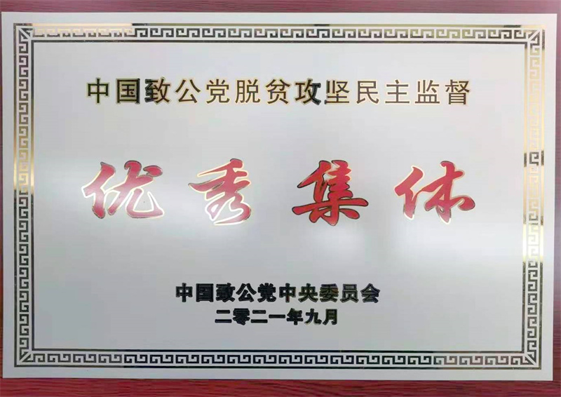 市委被致公黨中央評(píng)為脫貧攻堅(jiān)民主監(jiān)督優(yōu)秀集體.jpg