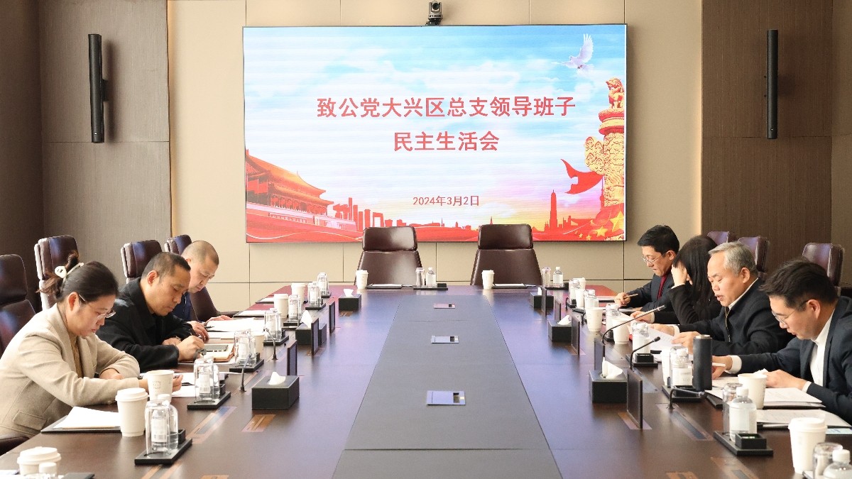 20240302致公黨大興區(qū)總支部召開領(lǐng)導班子述職民主評議會和民主生活會2-1200.jpg