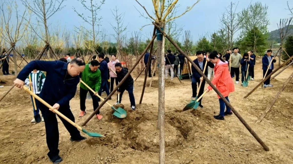 20240414致公黨中央青工委、北京市委青工委與通州區(qū)工委聯(lián)合開展義務(wù)植樹活動2_1200.jpg